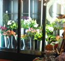Whispering Pines of Chappaqua Florist