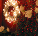 Holiday Flowers