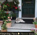 Westchester NY Flower Delivery