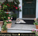 Westchester NY Flower Delivery