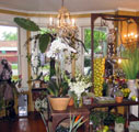 Westchester NY Florist