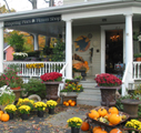 Whispering Pines of Chappaqua Florist